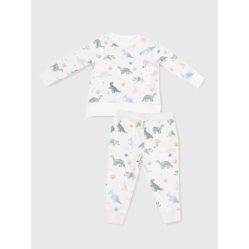 Angel Dear Kids’ Soft Dinos Raglan Sweatshirt + Jogger Set