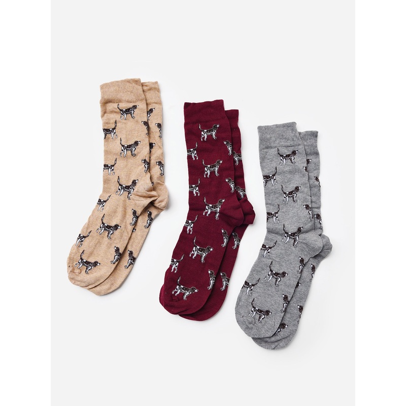 Barbour Pointer Dog Socks|O/S|WINTER RED
