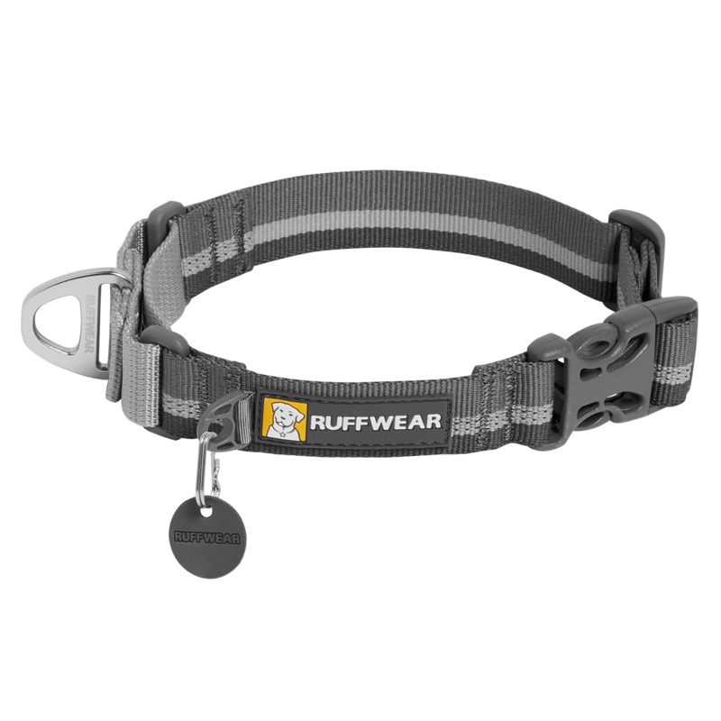Web Reaction Martingale Dog Collar With Buckle