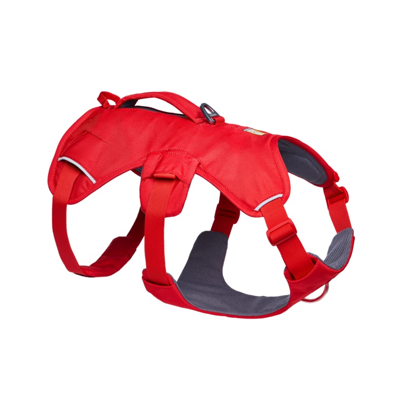 Web Master Dog Harness with Handle