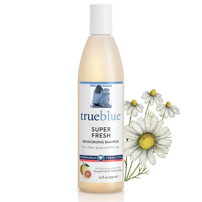 TrueBlue Super Fresh Deodorizing Shampoo 12oz