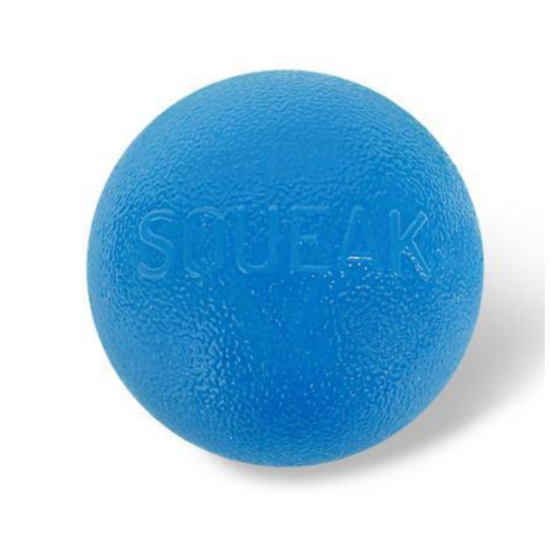 Outward Hound Orbee-Tuff Squeak Ball Dog Toy