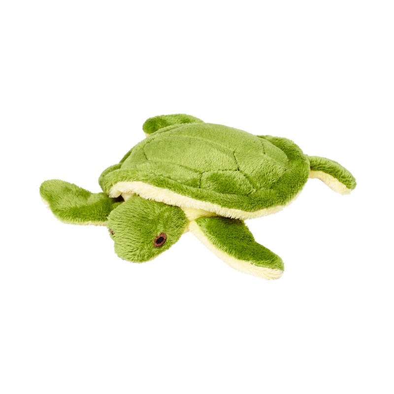 F&T Shelly Turtle 4