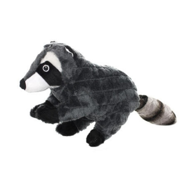 Mighty Nature Racoon