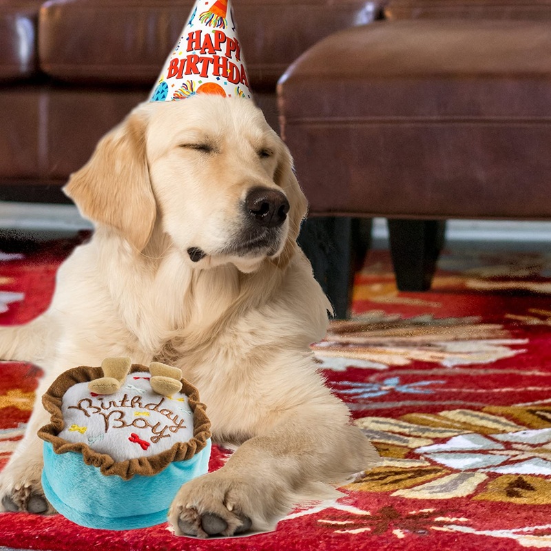 Birthday Pupcakes Dog Toys|Small Blue|Large Blue|Small Pink|Large Pink