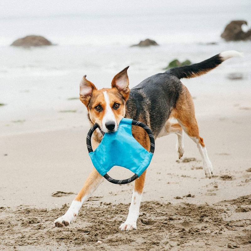 ZippyPaws – Rope Gliderz Durable Outdoor Dog Toy Flying Disc