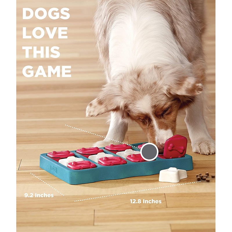 Brick Puzzle Game for Dogs -Nina Ottosen