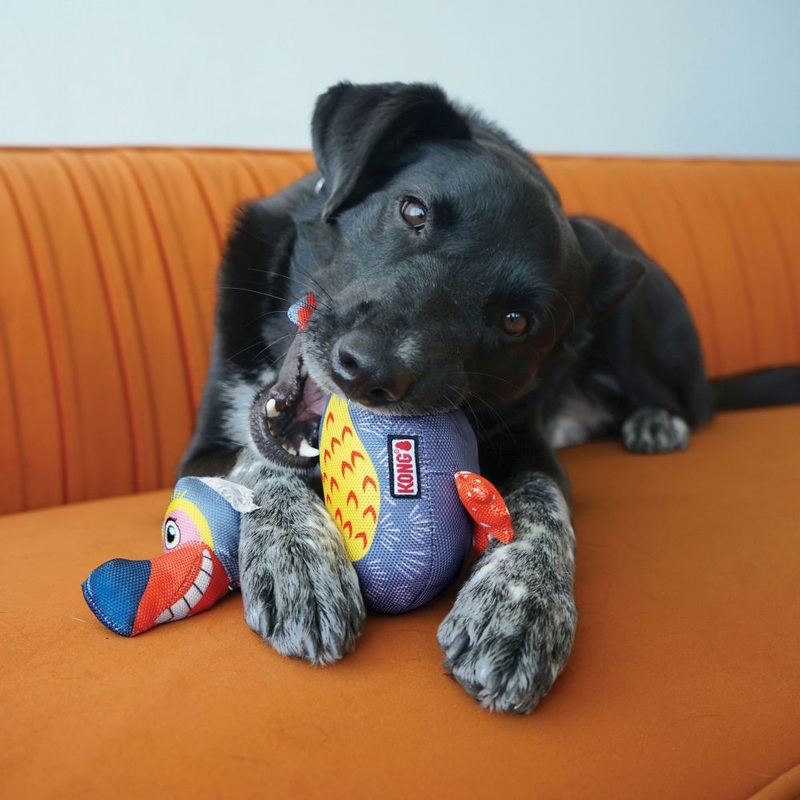 Ballistic Vibez Birds Dog Toy|XS|Sm/Md|Md/Lg