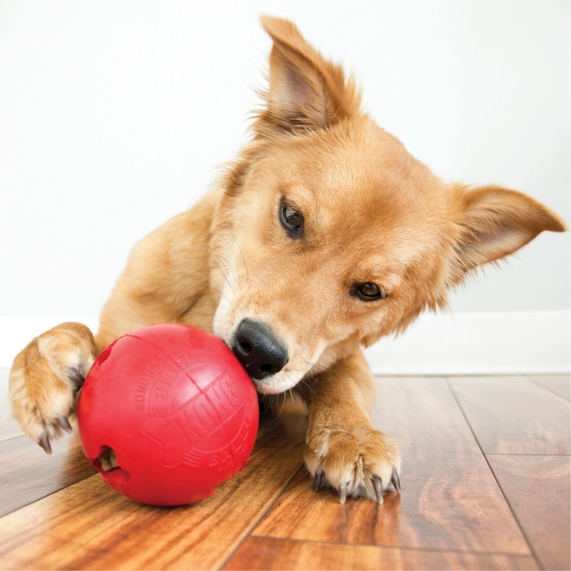 Biscuit Ball Dog Toy