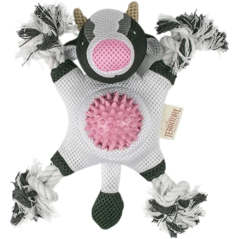 Territory 2 in 1 No Stuffing Removable Fetch Ball Tug Dog Toy