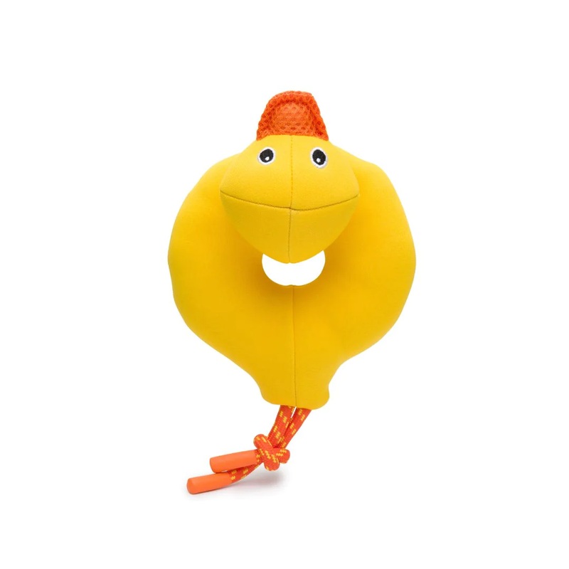 FabDog Floaties Duck