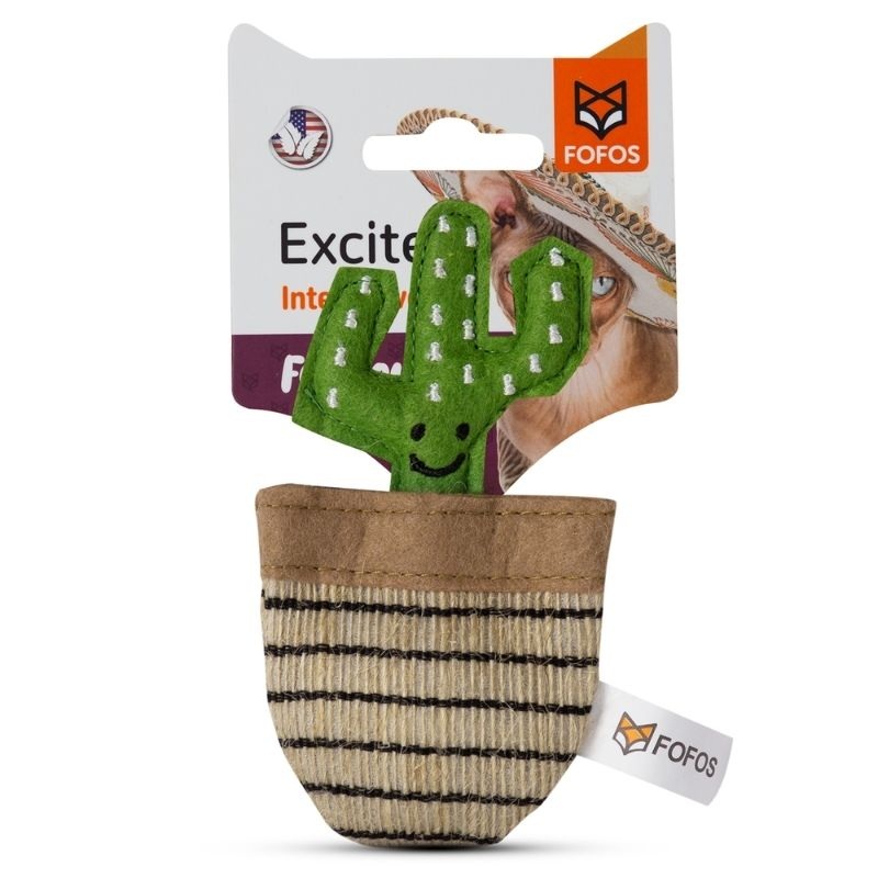 FOFOS Cat Toys – Green Cactus
