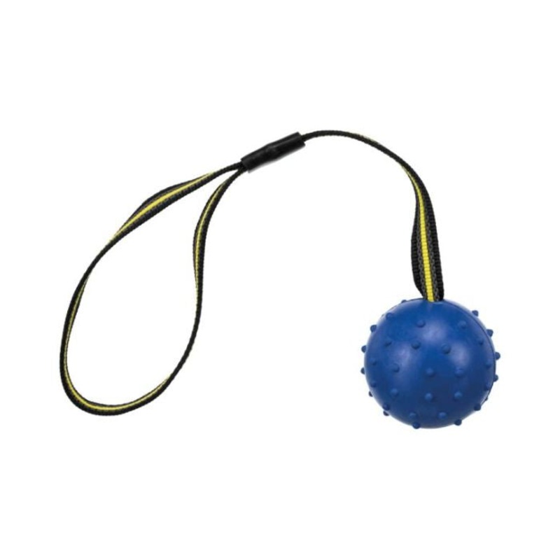 Trixie Dog Toys – Ball on a strap (Assorted)