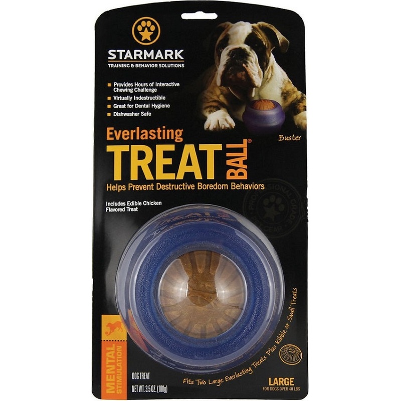 Starmark Everlasting Treat Ball Dog Toy